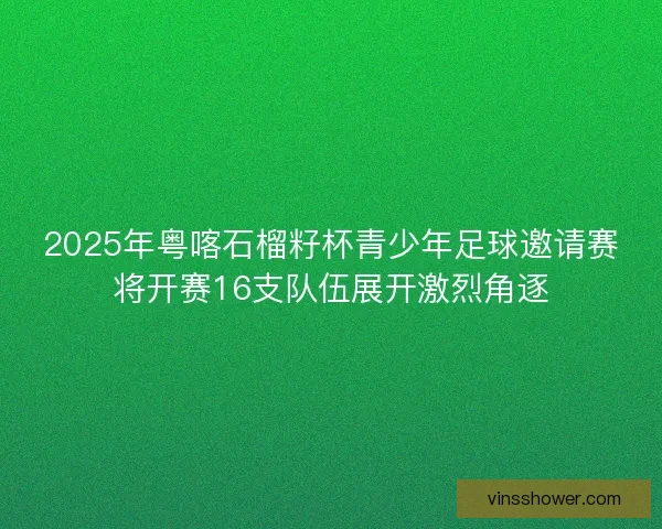 2025年粤喀石榴籽杯青少年足球邀请赛将开赛16支队伍展开激烈角逐